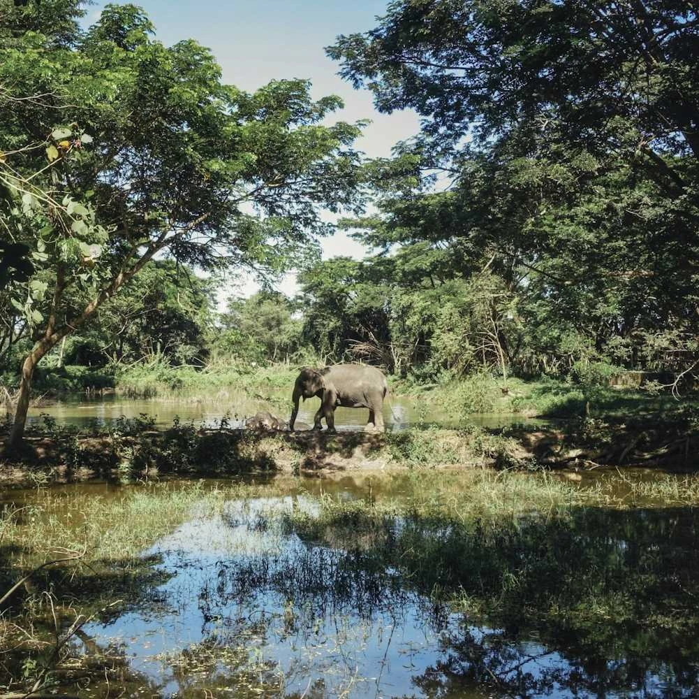 Thailand Intensiv – 3 Wochen Rundreise Kultur & Natur