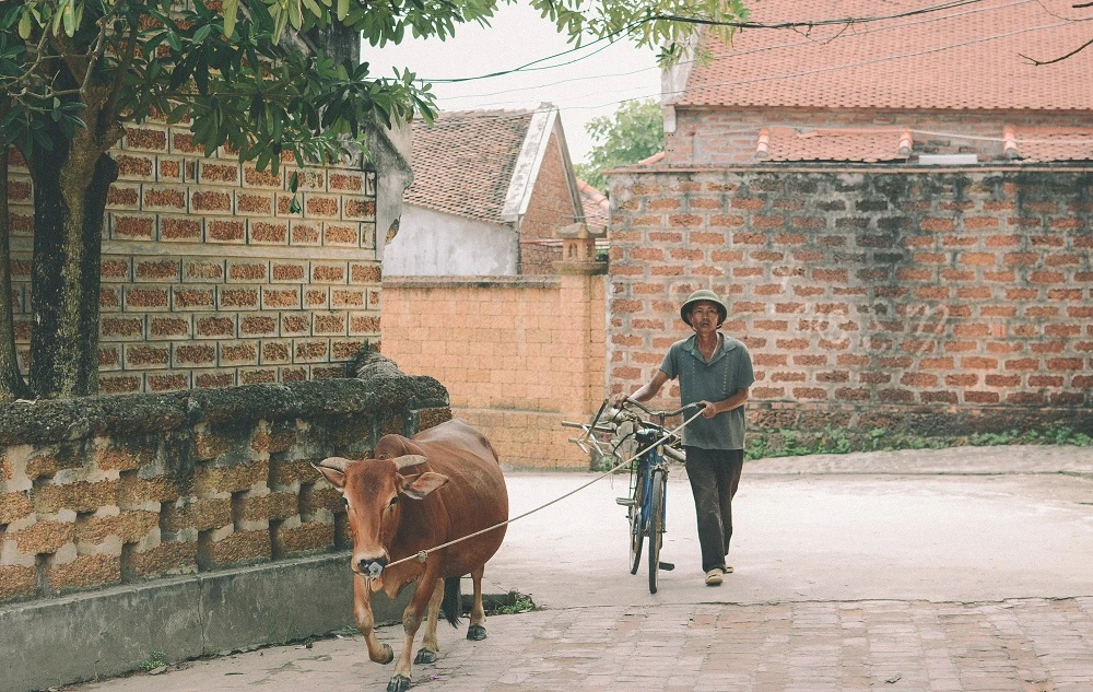 Das historische Dorf Duong Lam und die Tay Phuong Pagode