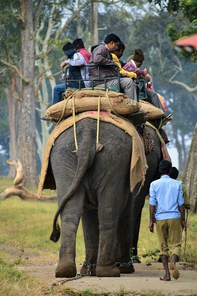 Fahrt ins Elefantencamp