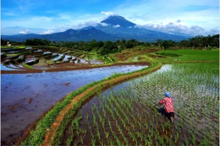 Flug von Sumatra nach Java