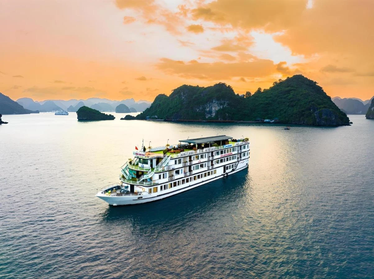 Amanda Premier Cruise