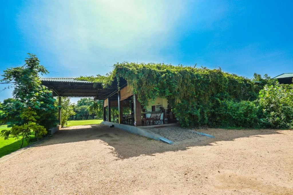 Camellia Resort and Spa