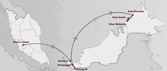 Borneo Entdeckungsreise – Dschungel, Wildnis & Inselparadies